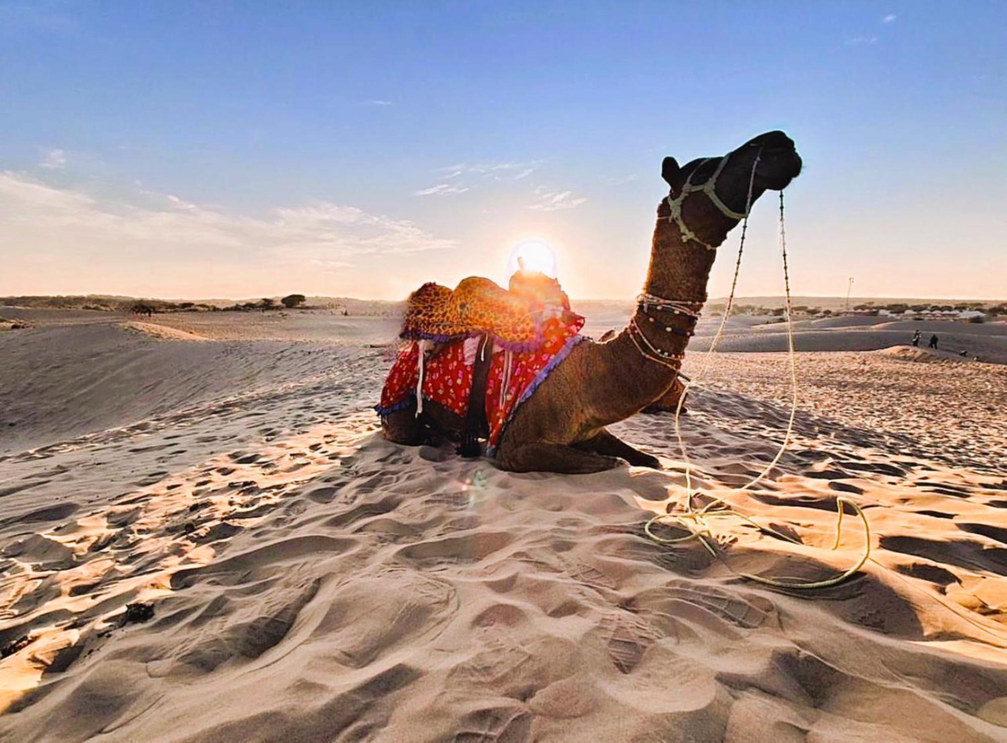 Jaisalmer Sand Dunes Luxury Camp And Resort المظهر الخارجي الصورة