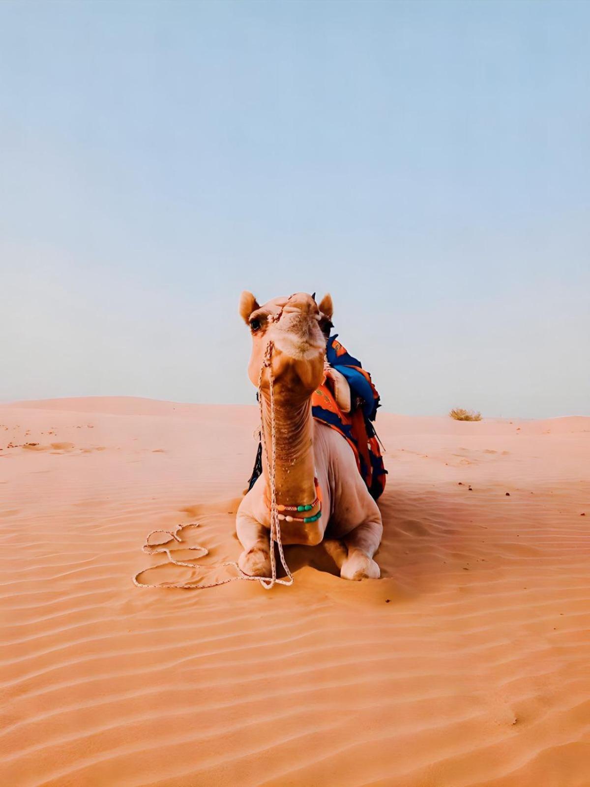 Jaisalmer Sand Dunes Luxury Camp And Resort المظهر الخارجي الصورة